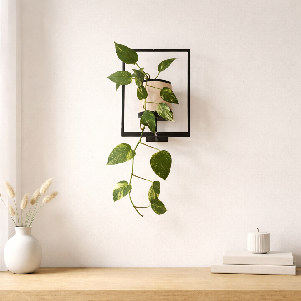 Wall mounted pothos plant in black metal frame with trailing green leaves styled on a light oak surface