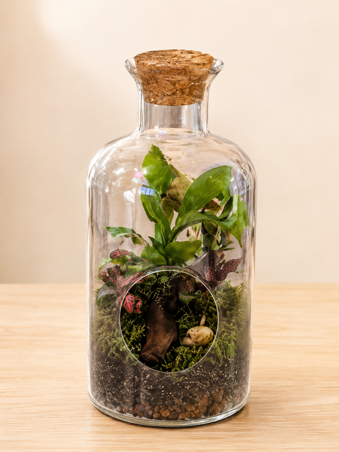 Large handmade open glass terrarium with live indoor plants, decorative stones and moss displayed in a clear glass vase.