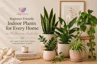 Neutral styled Leafy Lovers blog banner featuring beginner-friendly indoor plants including Snake Plant, Peace Lily, ZZ Plant and Devil’s Ivy in soft beige pots on a light oak table with Melbourne indoor plant care text.