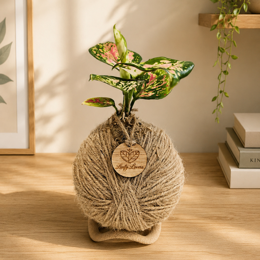 Handcrafted kokedama featuring a pink Aglaonema plant wrapped in natural jute twine and displayed on a decorative stand.