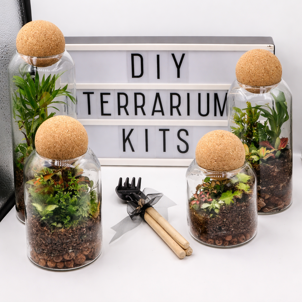 DIY Terrarium Do it yourself at home kits cylinder canisters with cork lids-