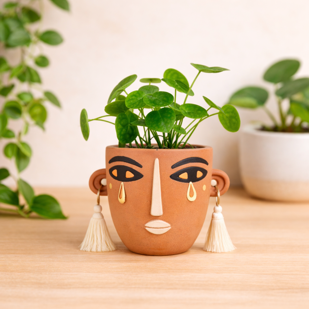 Small terracotta face planter with plant styled on neutral background in soft natural light