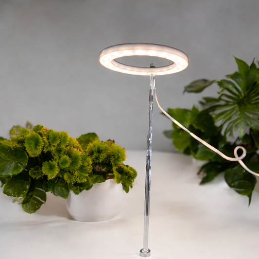 LED grow light for indoor plants ring light with stand providing light for houseplants