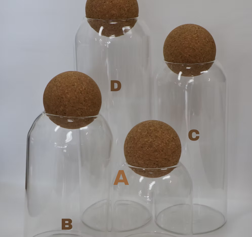 DIY Terrarium Do it yourself at home kits cylinder canisters with cork lids-