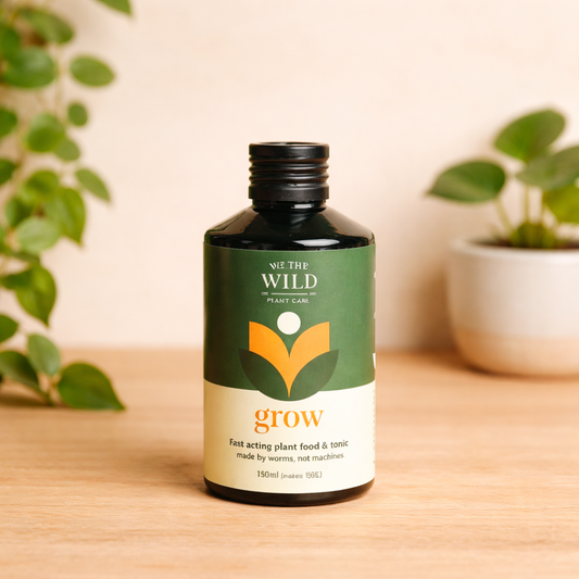 We The Wild grow concentrate plant food bottle on light neutral background with soft natural lighting