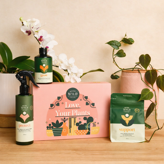 We The Wild Love Your Plants gift pack with protect spray grow concentrate and support pellets on oak surface with plants