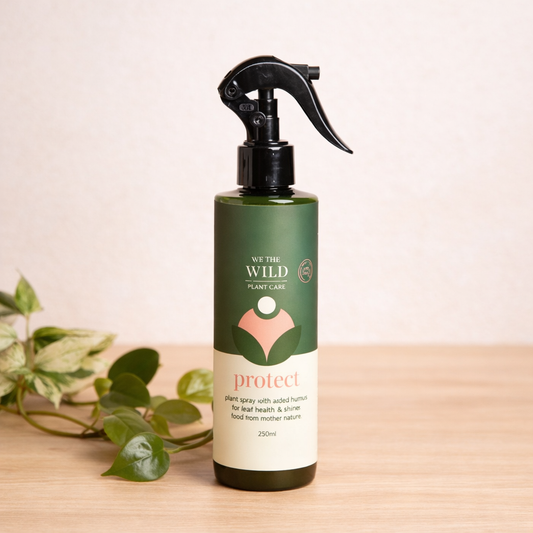 We The Wild Protect plant spray bottle on neutral background with greenery